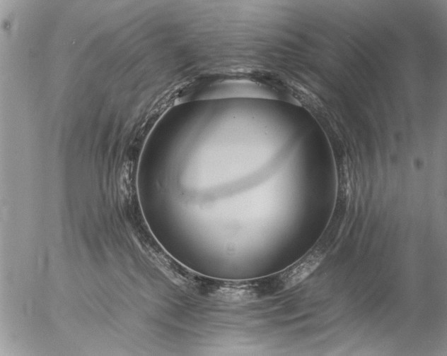 X0000057060280200509231540