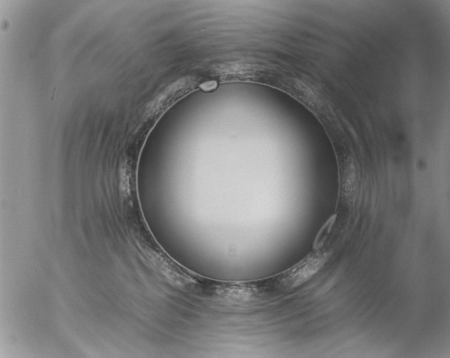 X0000057060282200509231540