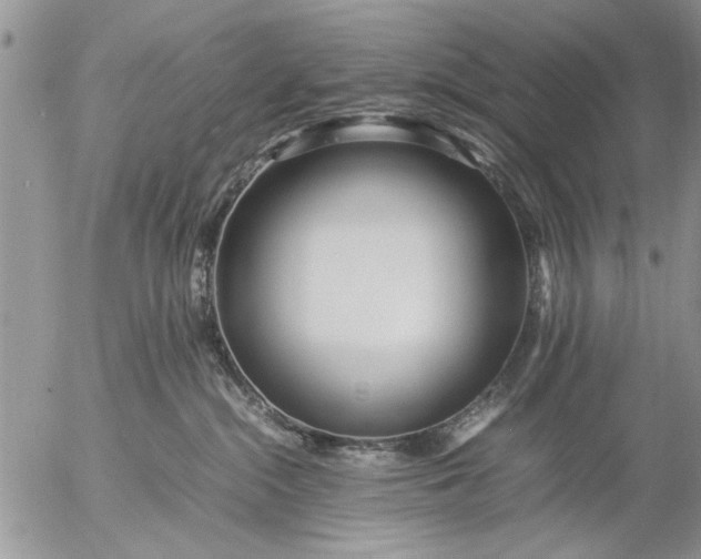 X0000057060284200509231540