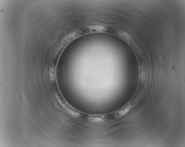 X0000057060285200509231540