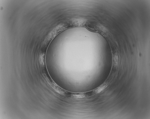 X0000057060286200509231540