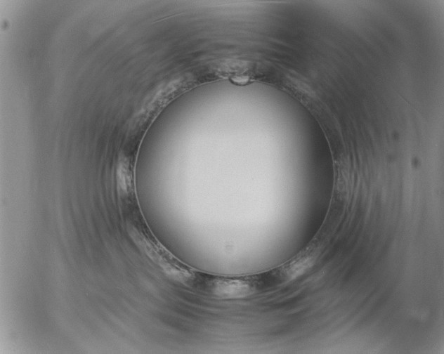 X0000057060287200509231540