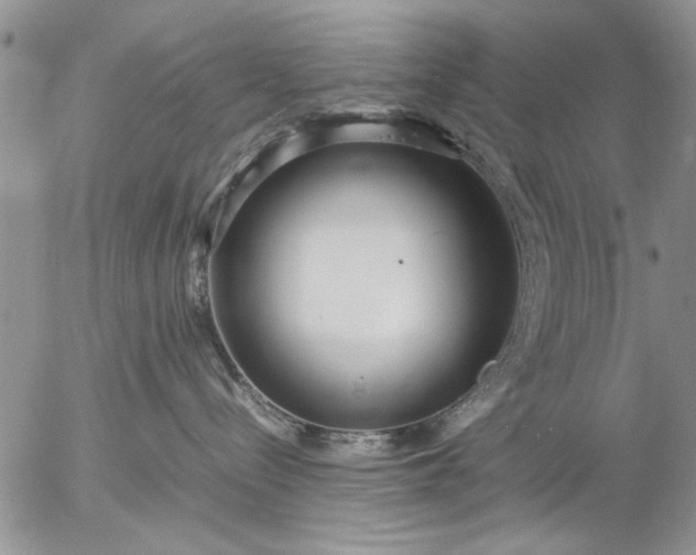 X0000057060288200509231540