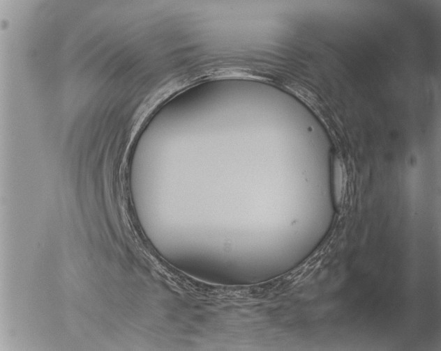 X0000057060289200509231539