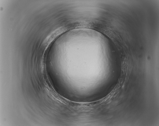 X0000057060290200509231539