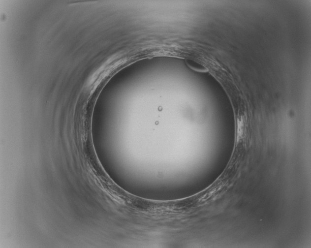 X0000057060291200509231539