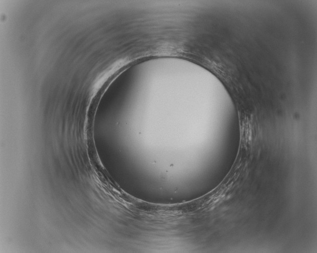 X0000057060292200509231539