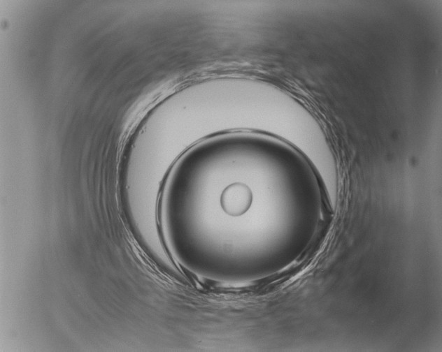 X0000057060293200509231539