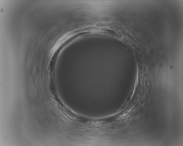 X0000057060295200509231539