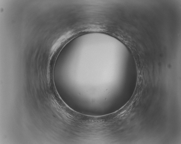 X0000057060296200509231539