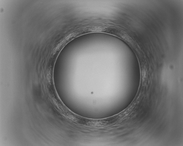 X0000057060297200509231539