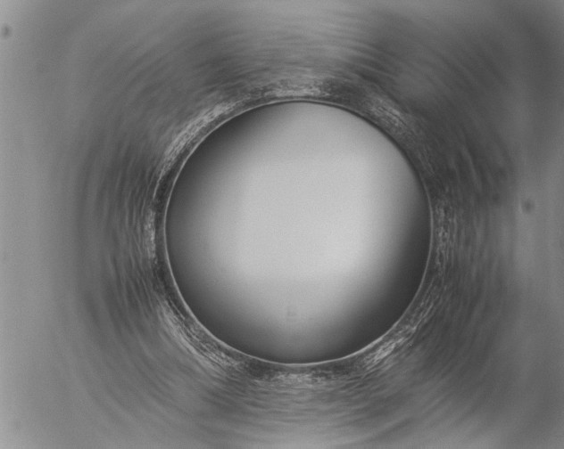 X0000057060298200509231539