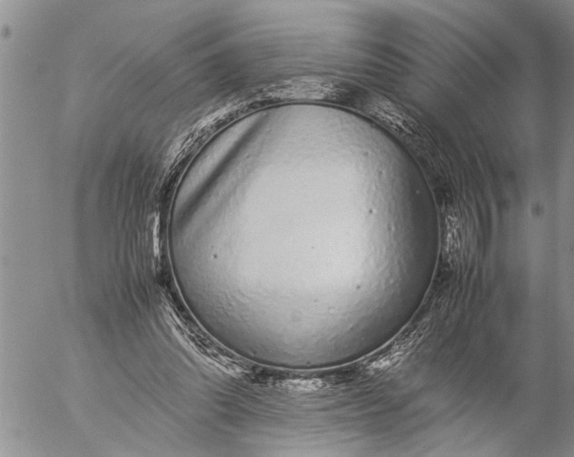 X0000057060302200509231539