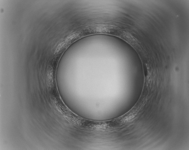 X0000057060306200509231539