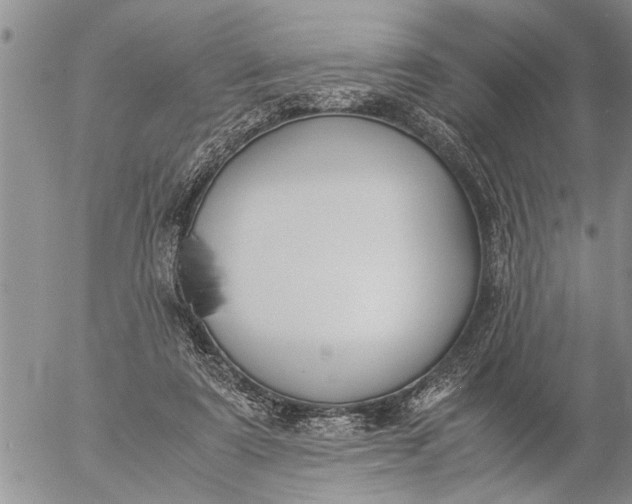 X0000057060307200509231539