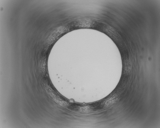 X0000057060309200509231539