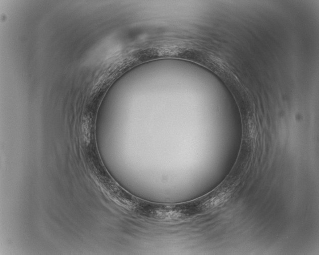 X0000057060311200509231539