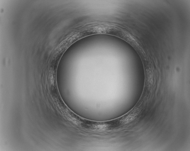 X0000057060313200509231539