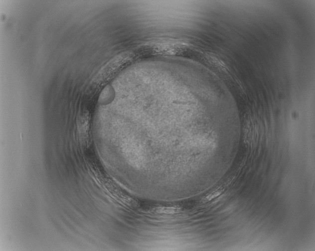 X0000057060314200509231539