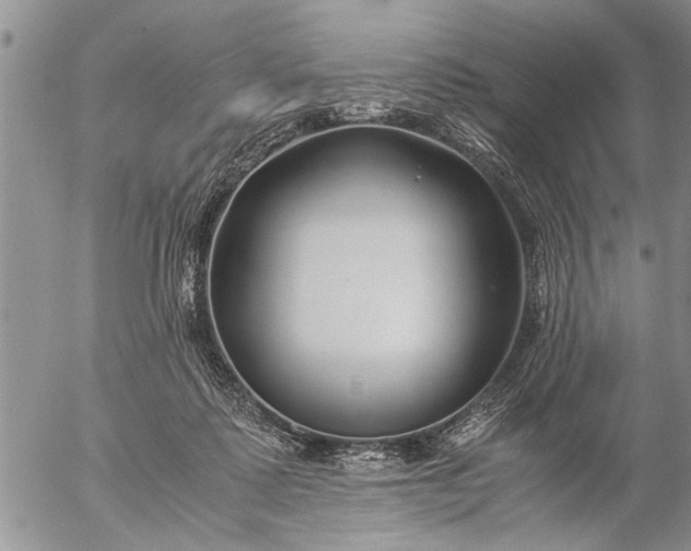 X0000057060315200509231539