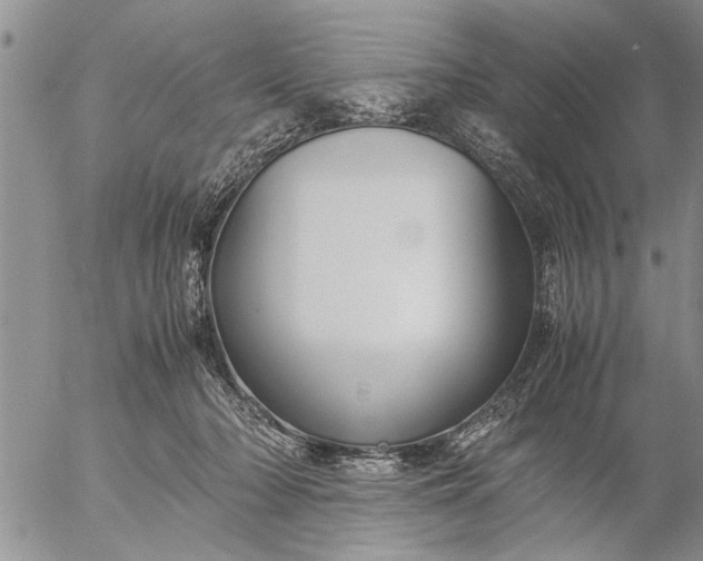 X0000057060318200509231539