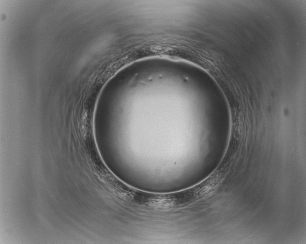 X0000057060319200509231539