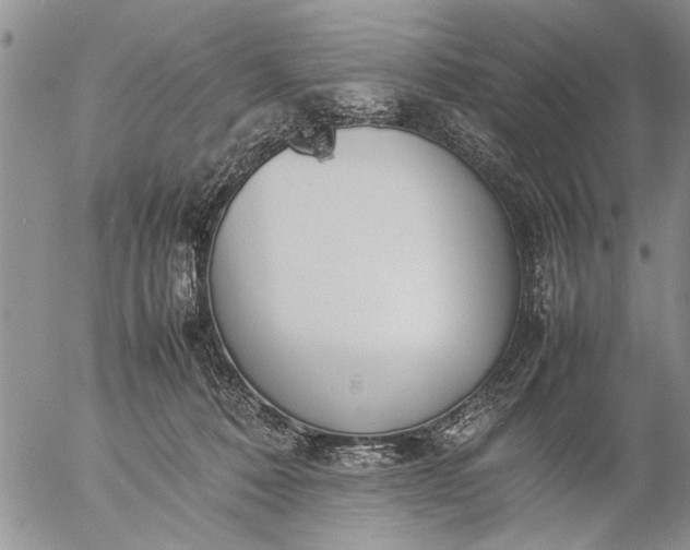 X0000057060320200509231539