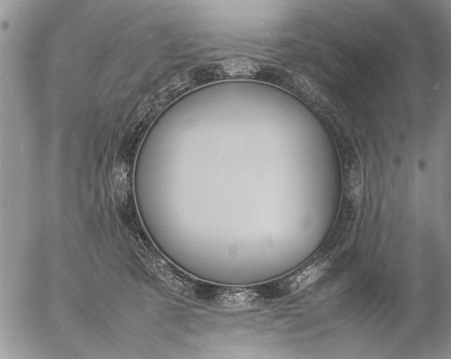 X0000057060321200509231539