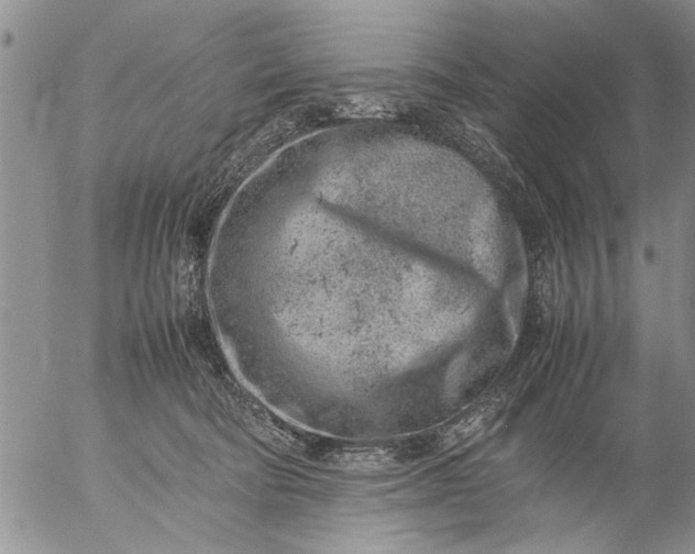 X0000057060322200509231539