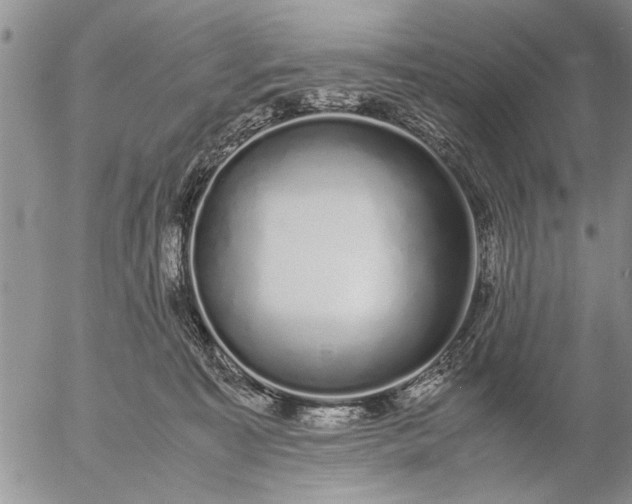 X0000057060323200509231539