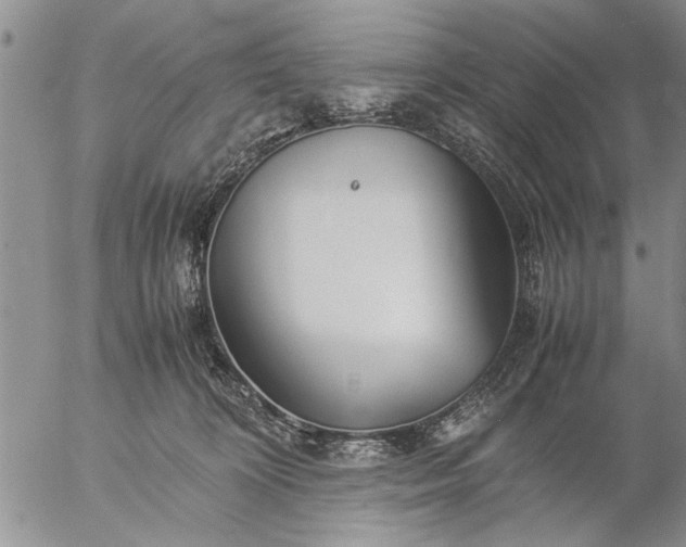 X0000057060324200509231539