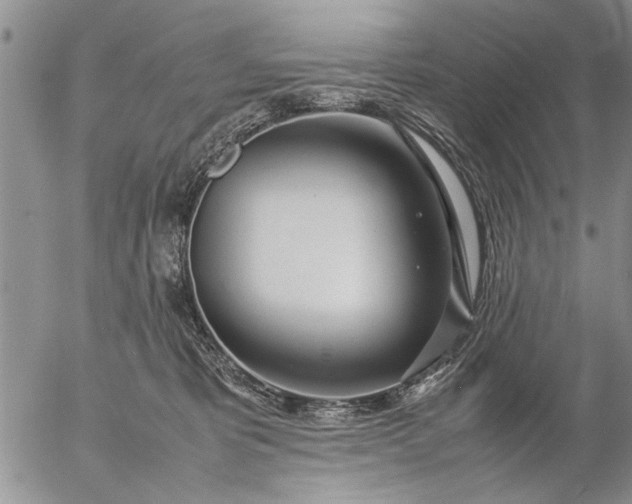 X0000057060325200509231539