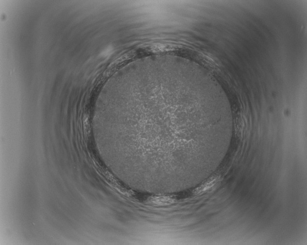 X0000057060327200509231539