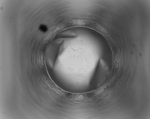 X0000057060330200509231538