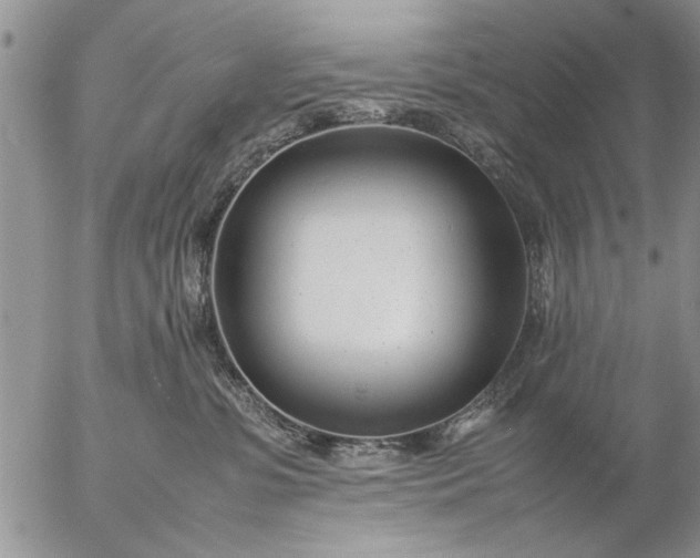 X0000057060331200509231538