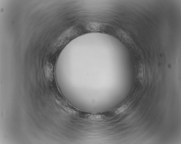 X0000057060332200509231538