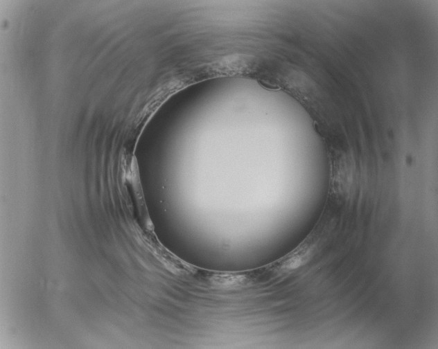 X0000057060334200509231538