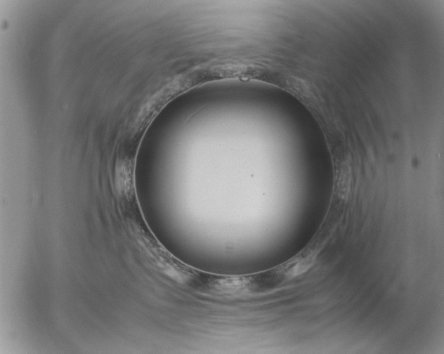 X0000057060335200509231538