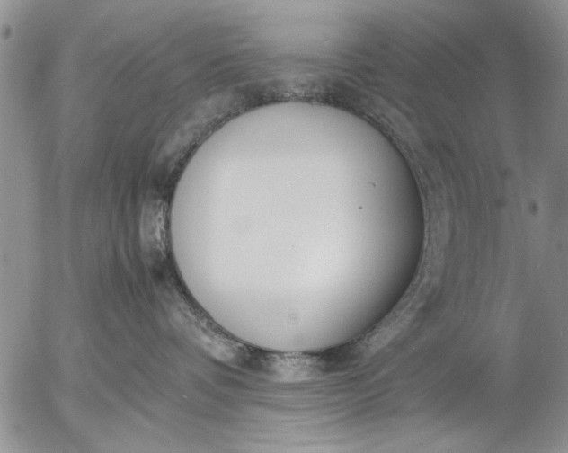 X0000057060336200509231538