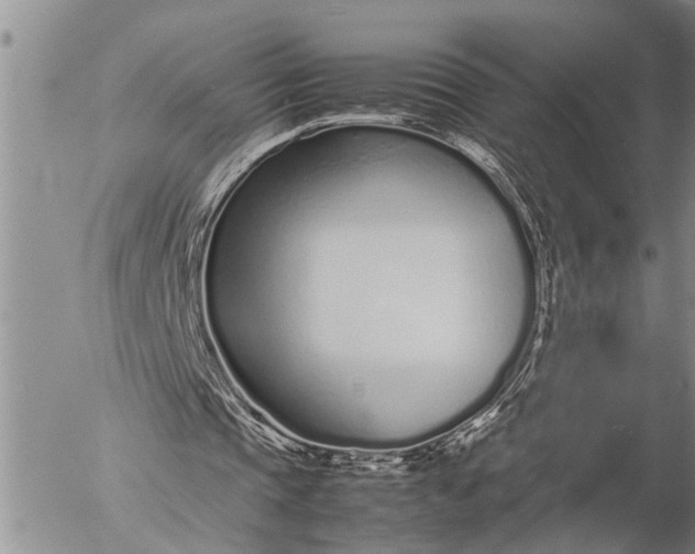 X0000057060337200509231538