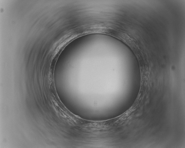 X0000057060338200509231538