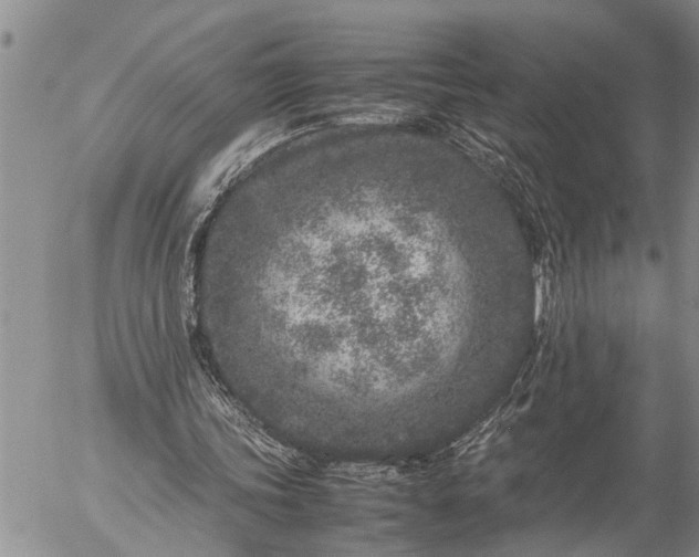 X0000057060339200509231538