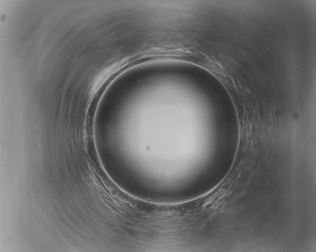 X0000057060340200509231538