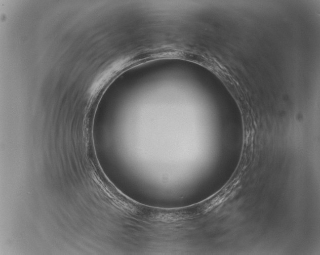 X0000057060341200509231538