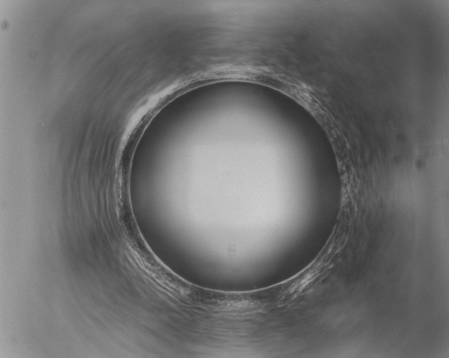 X0000057060342200509231538