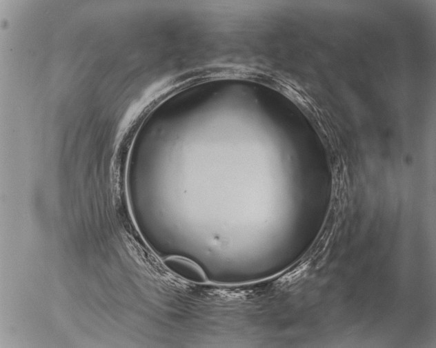 X0000057060343200509231538