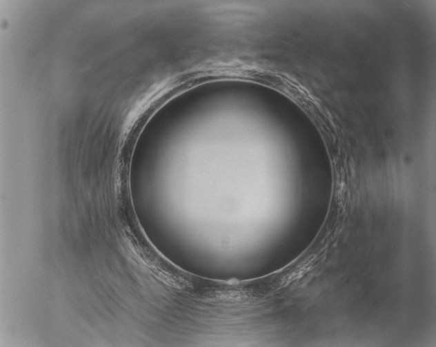 X0000057060344200509231538