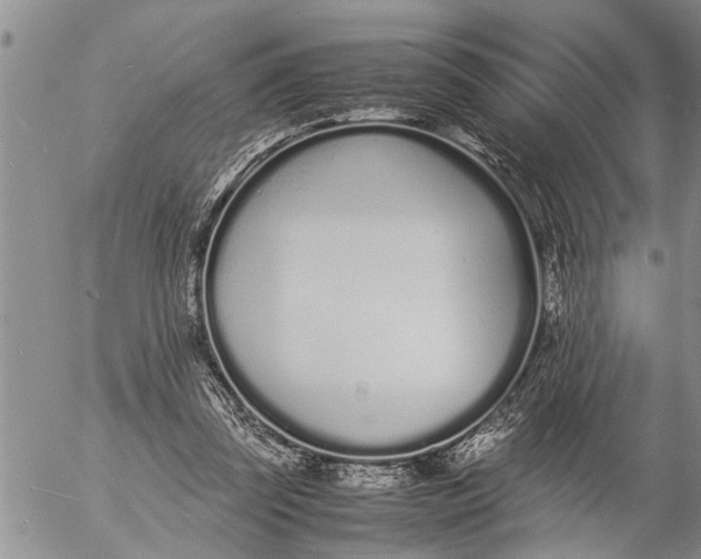 X0000057060347200509231538