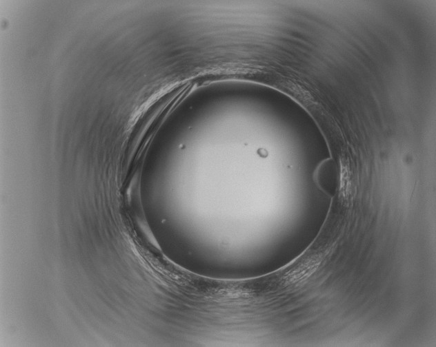 X0000057060348200509231538