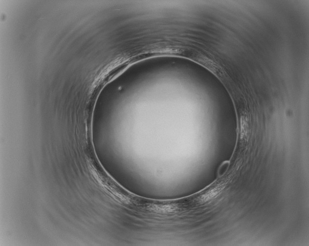 X0000057060349200509231538